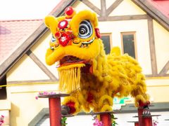 -海合安天津极地海洋公园