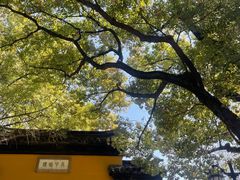 -西园戒幢律寺