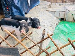 -HERRE·FARM 赫尔露营农场·团建聚会包场