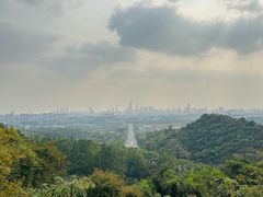 -火炉山森林公园