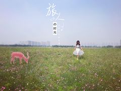 -3W咖啡(国家软件园店)