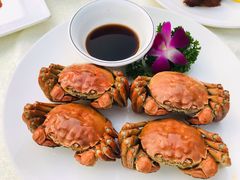 -大东海海鲜酒楼(渔人码头总店)