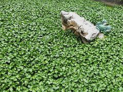 -八景休閒山莊  廣東十大名山莊