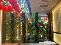 -百草滩羊清水涮羊肉·清真·宁夏盐池滩羊(莲花桥店)