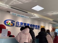 -北京观赏动物医院·24小时大型综合·猫专科·异宠专科
