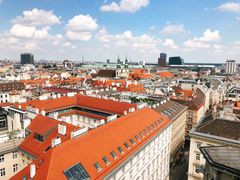 -斯蒂芬主教座堂(Stephansdom)
