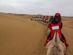 -银肯塔拉沙漠生态旅游景区