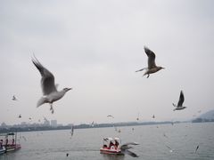 -蠡湖大桥公园