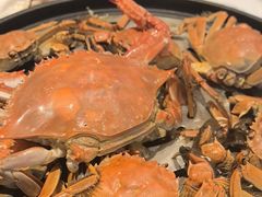 -半岛听涛蒸汽海鲜自助(K11店)