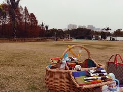 -厦门园林博览苑