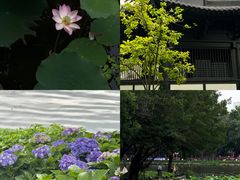 -荔湾湖公园
