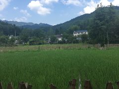-毛泽东同志旧居