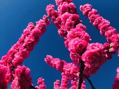 -北京京宝行宝马4S店(闵庄路店)