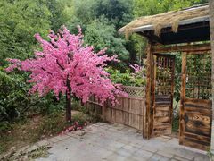 -渭南桃花源民俗文化园