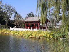 -西海子公园