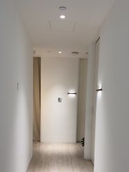 -BELLAREAL新美社