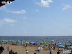 -碧海金沙
