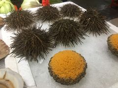 -蚝专家(北滘店)