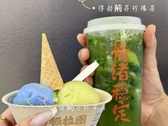 -极拉图·现制冰淇淋(大卫城店)