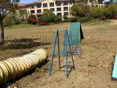 -上海崇明金茂凯悦酒店