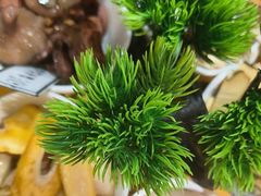 -一善菌·云南菌汤·云南菜(银泰城店)