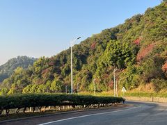 -火炉山森林公园