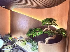 -阿露佳·舌尖上的安吉菜