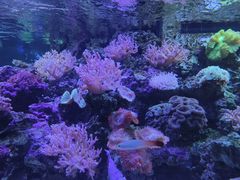 -长沙海底世界