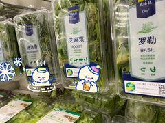 -麦德龙(京顺路商场店)