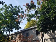 -中共五大会址纪念馆