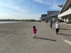 -盐城丹顶鹤湿地生态旅游区