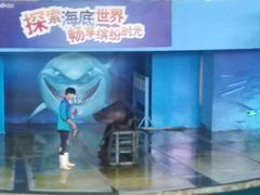 -苏州海洋馆