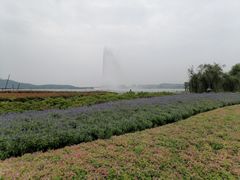 -蠡湖大桥公园
