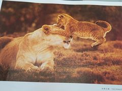 -罗红摄影艺术馆