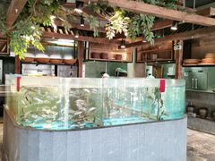 水产区-丹江渔村(首都机场店)