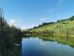-武陵山森林公园