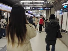 -大望路(地铁站)