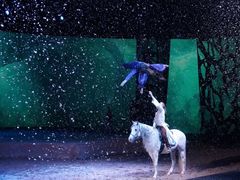 -cavalia·舞马