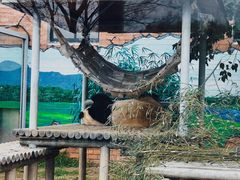 -苏州太湖国家湿地公园