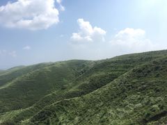 -张北坝上草原