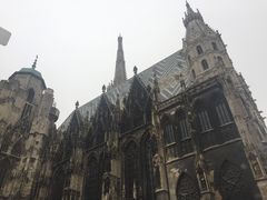 -斯蒂芬主教座堂(Stephansdom)