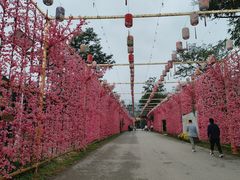 -北京凤凰岭