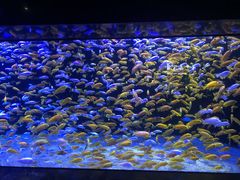 -成都浩海立方海洋公园