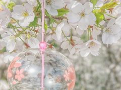 -苏州上方山国家森林公园