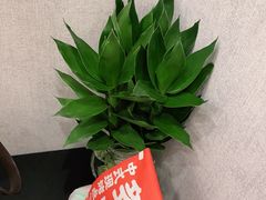 -金时代顺风大酒店(临港百联店)