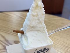 -野人先生Gelato(上海长宁龙之梦店)