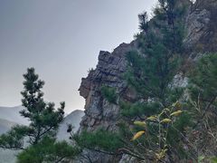 -金龙寺国家森林公园