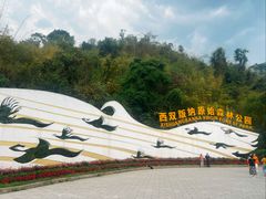 -西双版纳原始森林公园