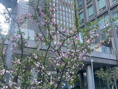 -陆家嘴世纪金融广场