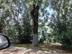 -太阳岛度假酒店